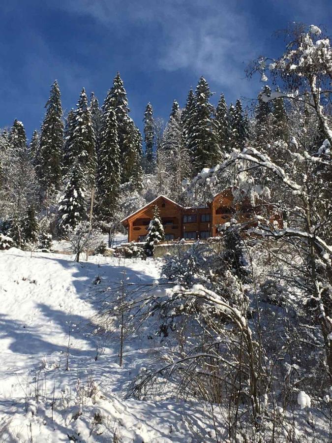 Privatna Sadiba Chalet Oryavchyk Exterior foto