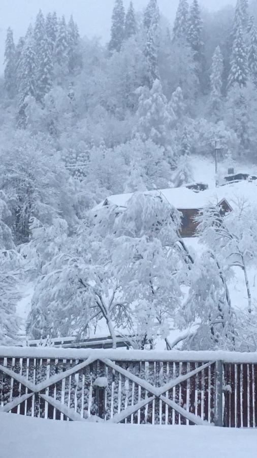 Privatna Sadiba Chalet Oryavchyk Exterior foto